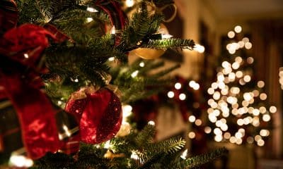 Mallorca Weihnachten