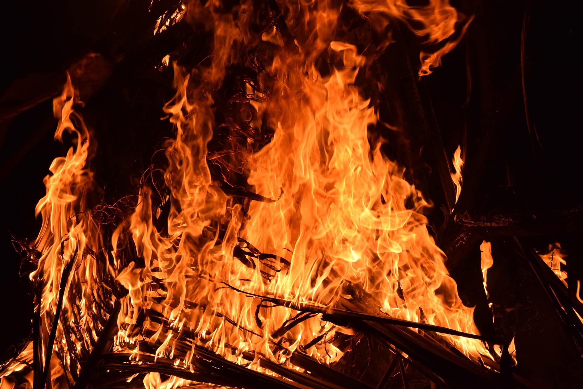 Das Sant Antoni Fest in Manacor