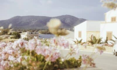 Immobilienmarkt mallorca