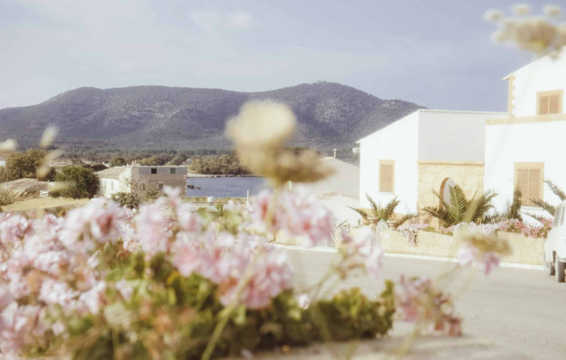 Immobilienmarkt mallorca