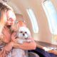 Mit Hund nach Mallorca fliegen