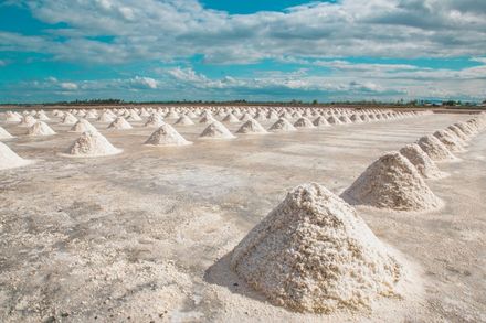Ses Salines Salz Mallorca